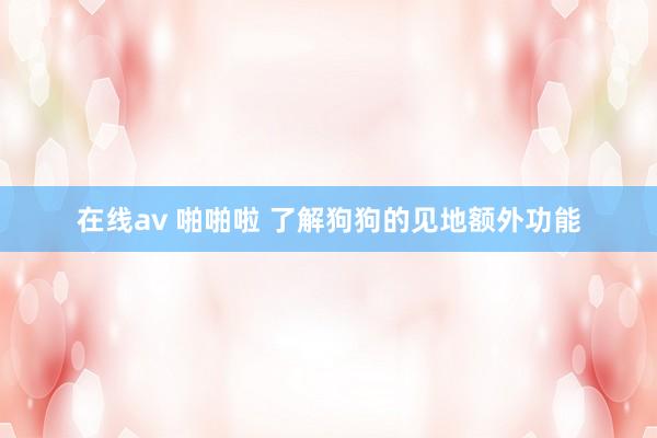 在线av 啪啪啦 了解狗狗的见地额外功能