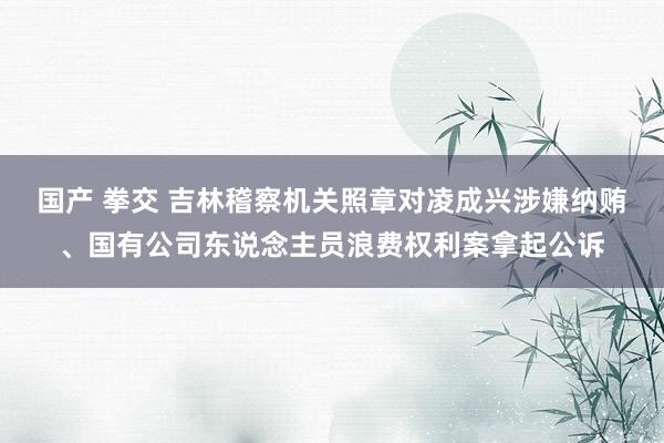 国产 拳交 吉林稽察机关照章对凌成兴涉嫌纳贿、国有公司东说念主员浪费权利案拿起公诉