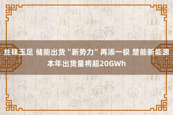 丝袜玉足 储能出货“新势力”再添一极 楚能新能源本年出货量将超20GWh